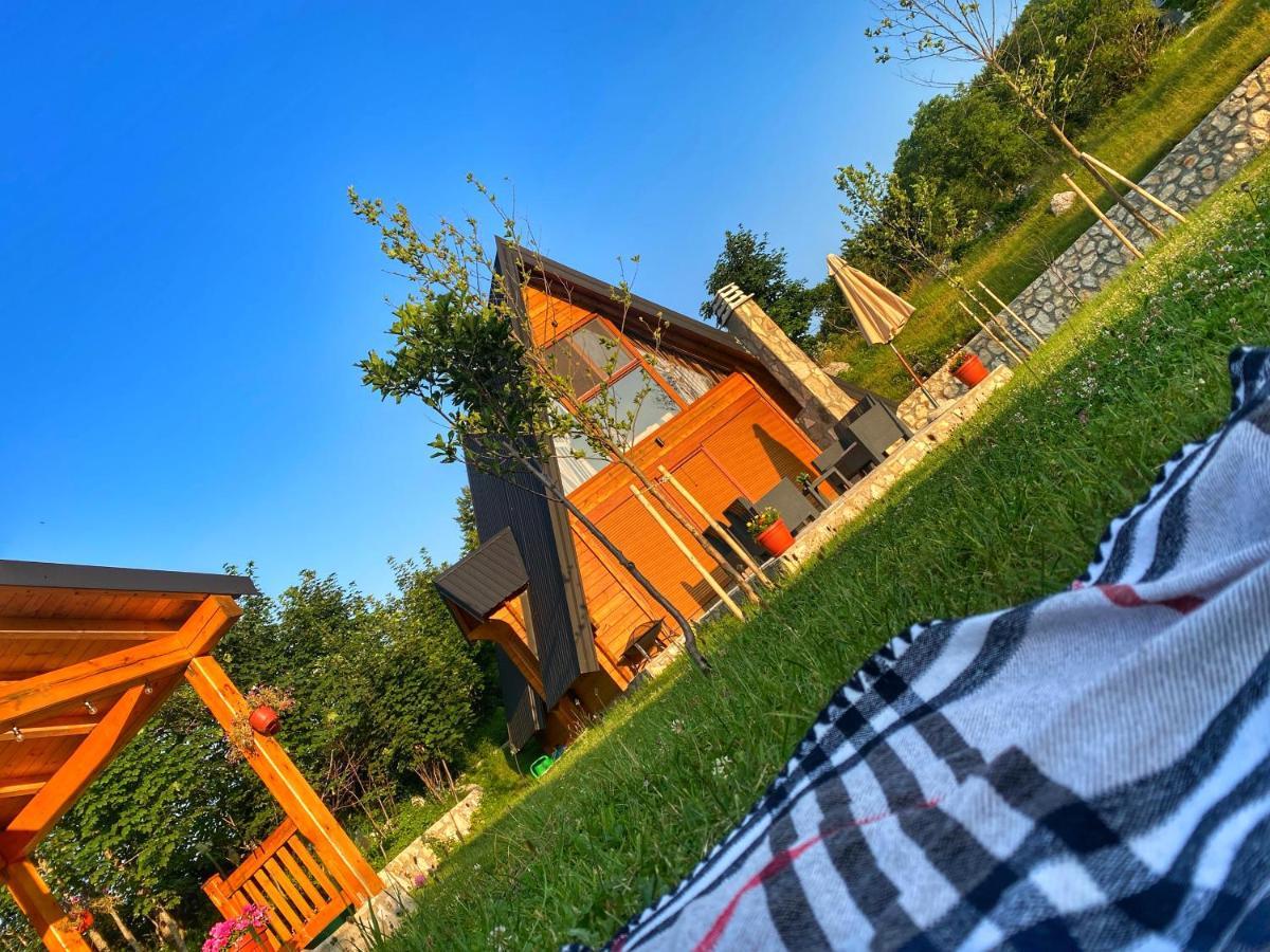 Albero Casa Villa Cetinje Eksteriør bilde