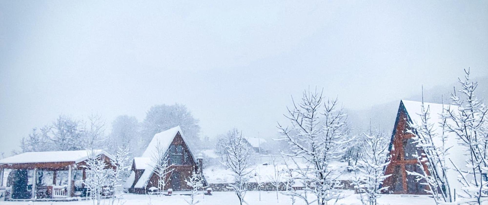 Albero Casa Villa Cetinje Eksteriør bilde