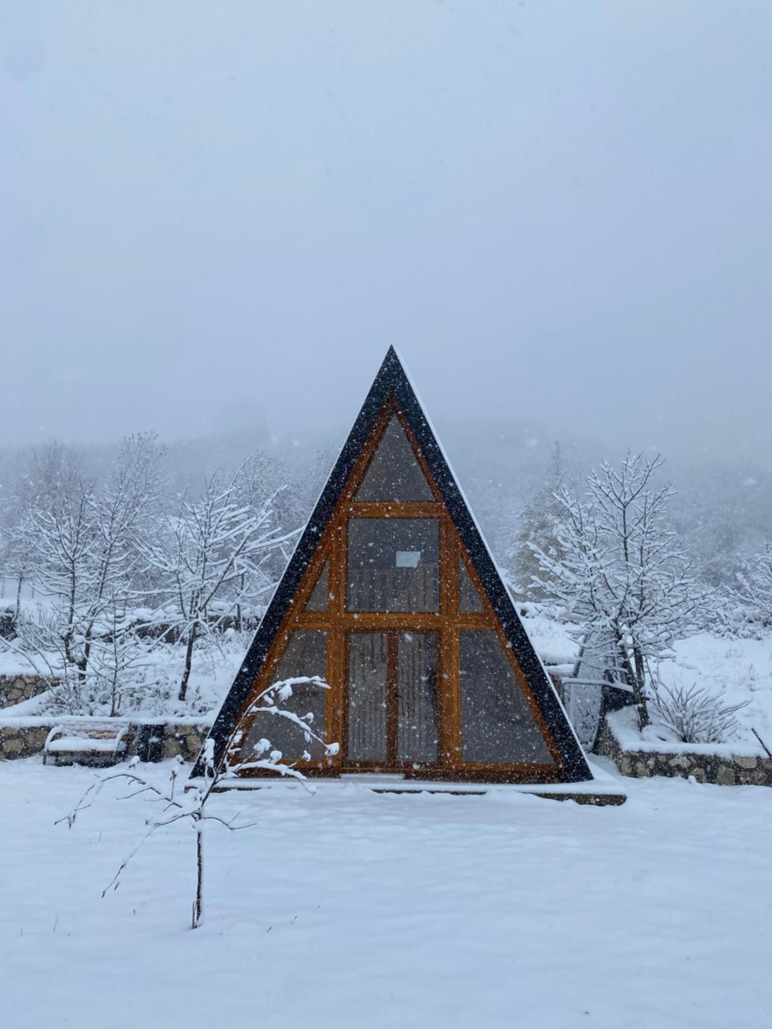 Albero Casa Villa Cetinje Eksteriør bilde