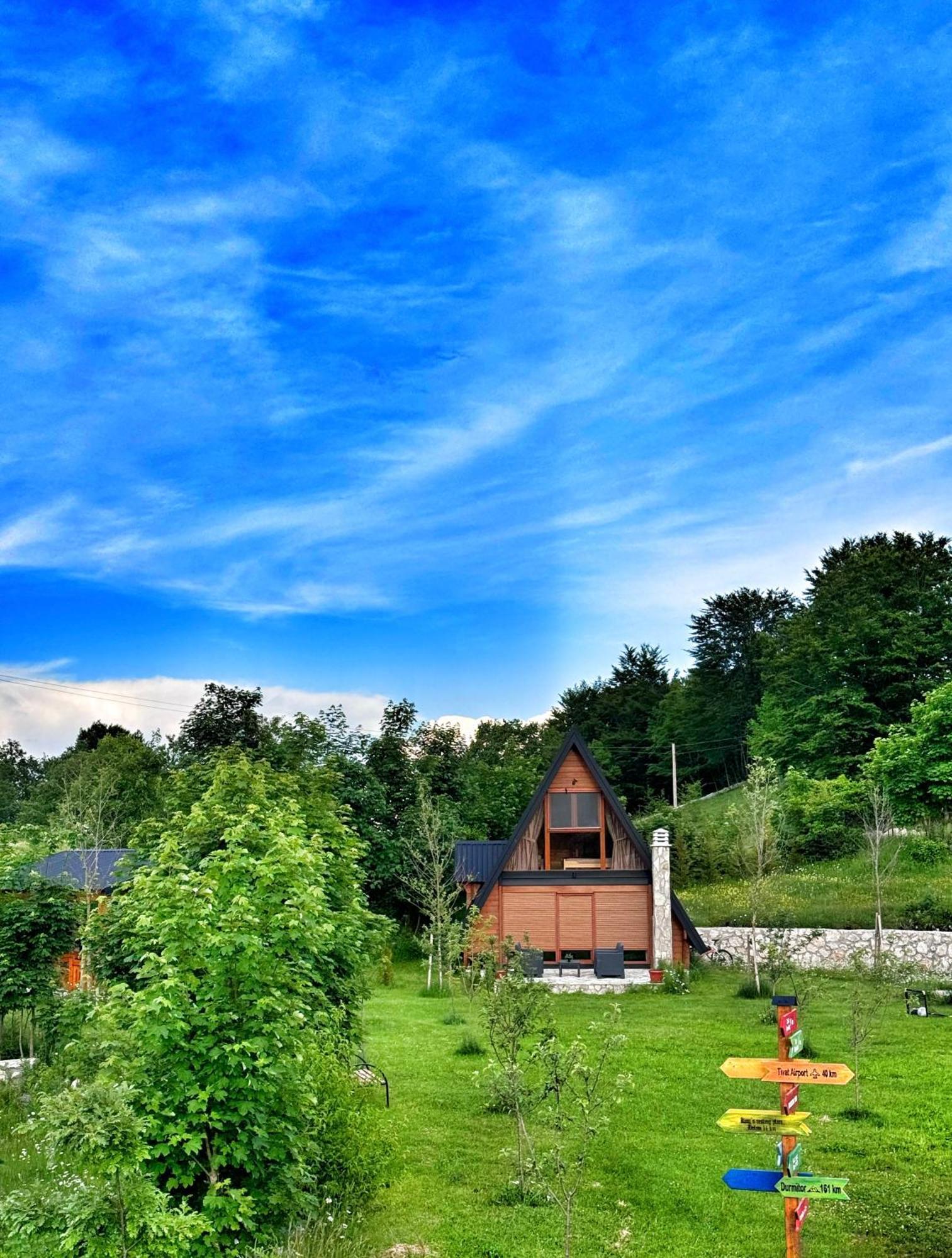 Albero Casa Villa Cetinje Eksteriør bilde