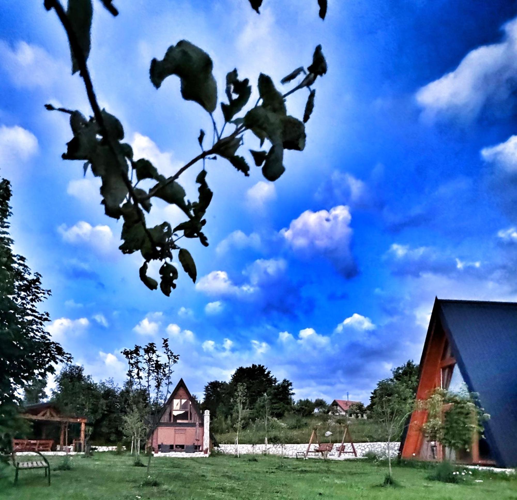 Albero Casa Villa Cetinje Eksteriør bilde