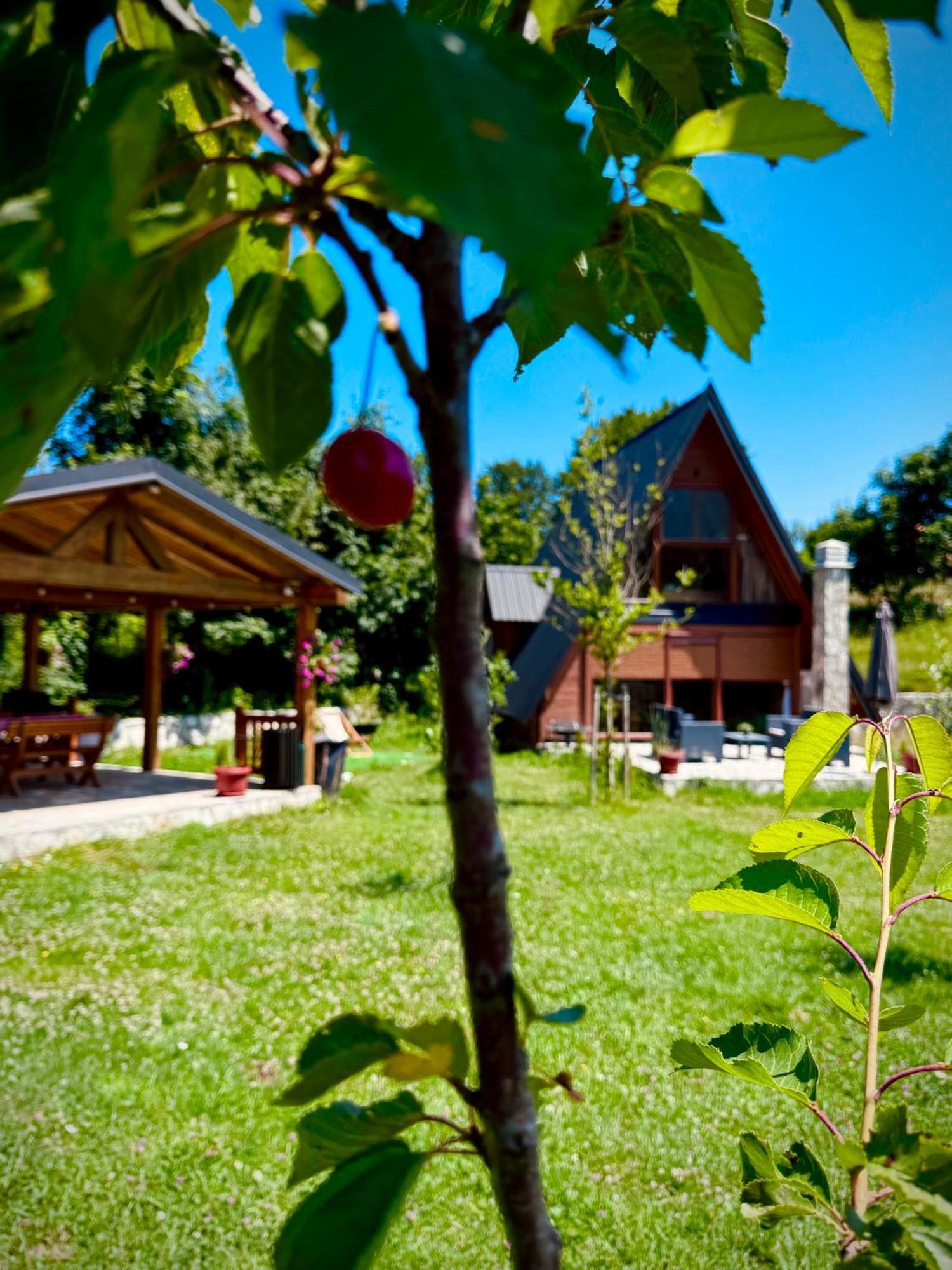 Albero Casa Villa Cetinje Eksteriør bilde